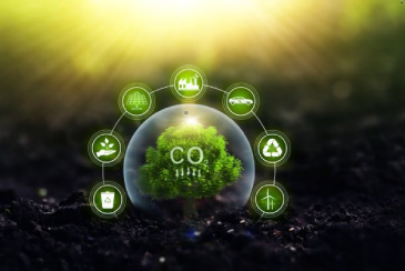 Product Carbon Footprint (CFP): Measuring the Environmental Impact of Products