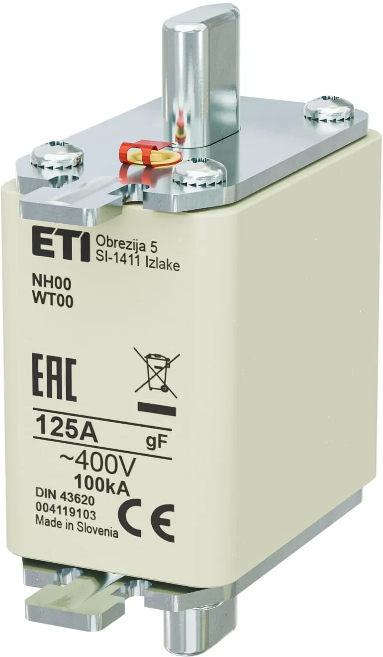 Wkładka topikowa NH00 gF 125A/400V 004119103